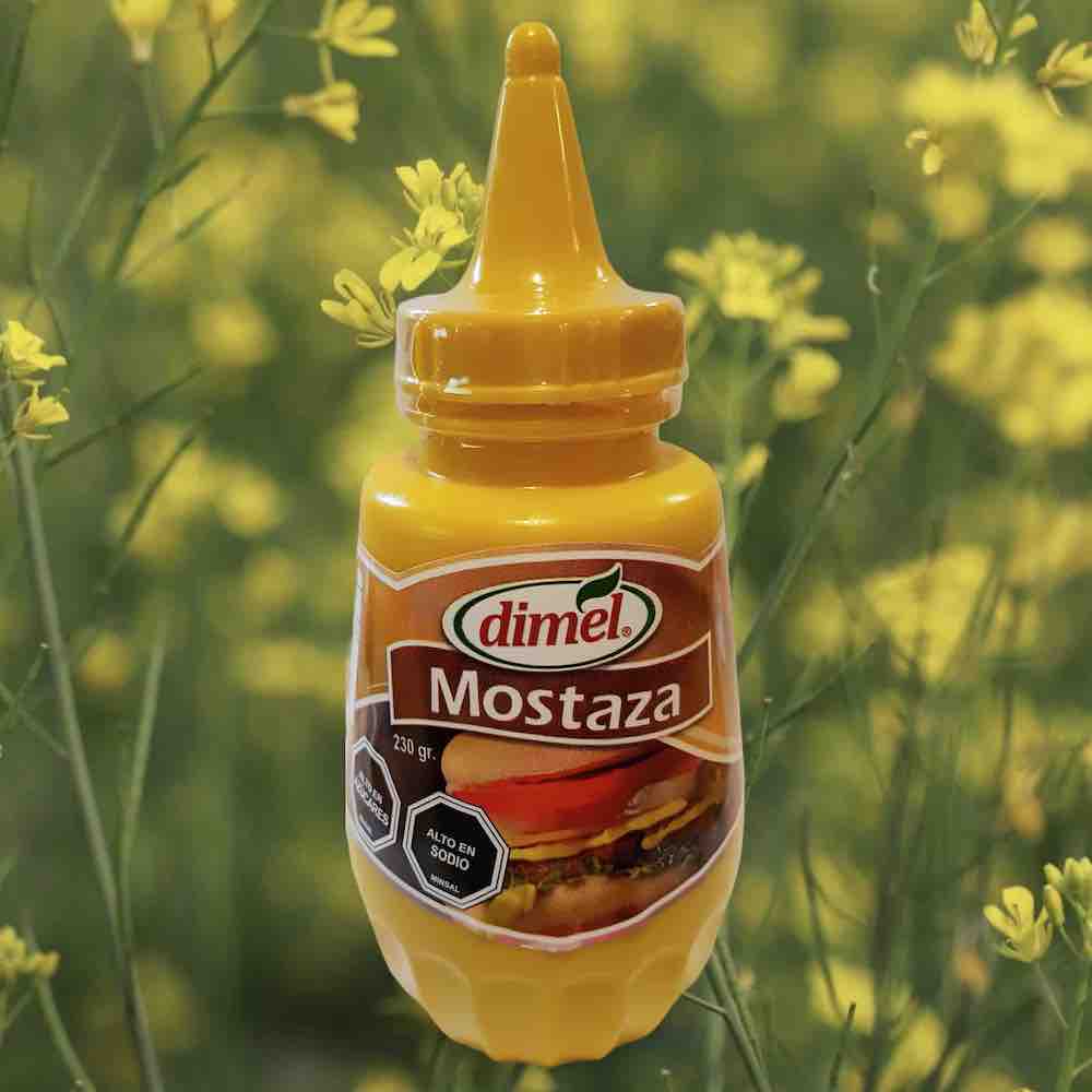 mostaza 230grs